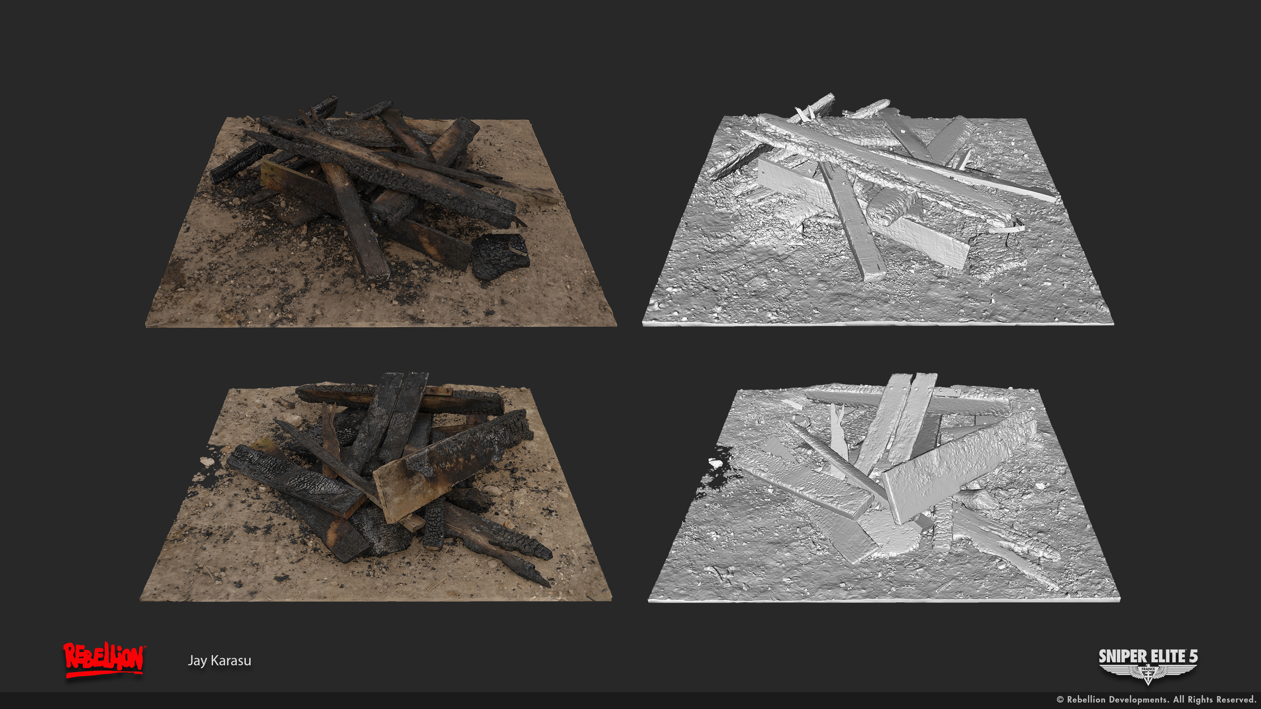 Burned Wood Scans 02